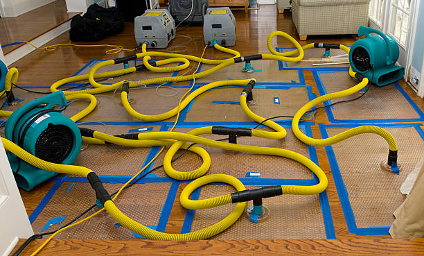 Professional Sewage Cleanup technician working in Utica, MO